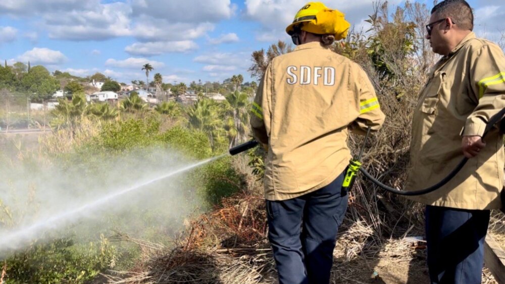 San Diego Fire-Rescue crews treating brush along a high-risk evacuation corridor
